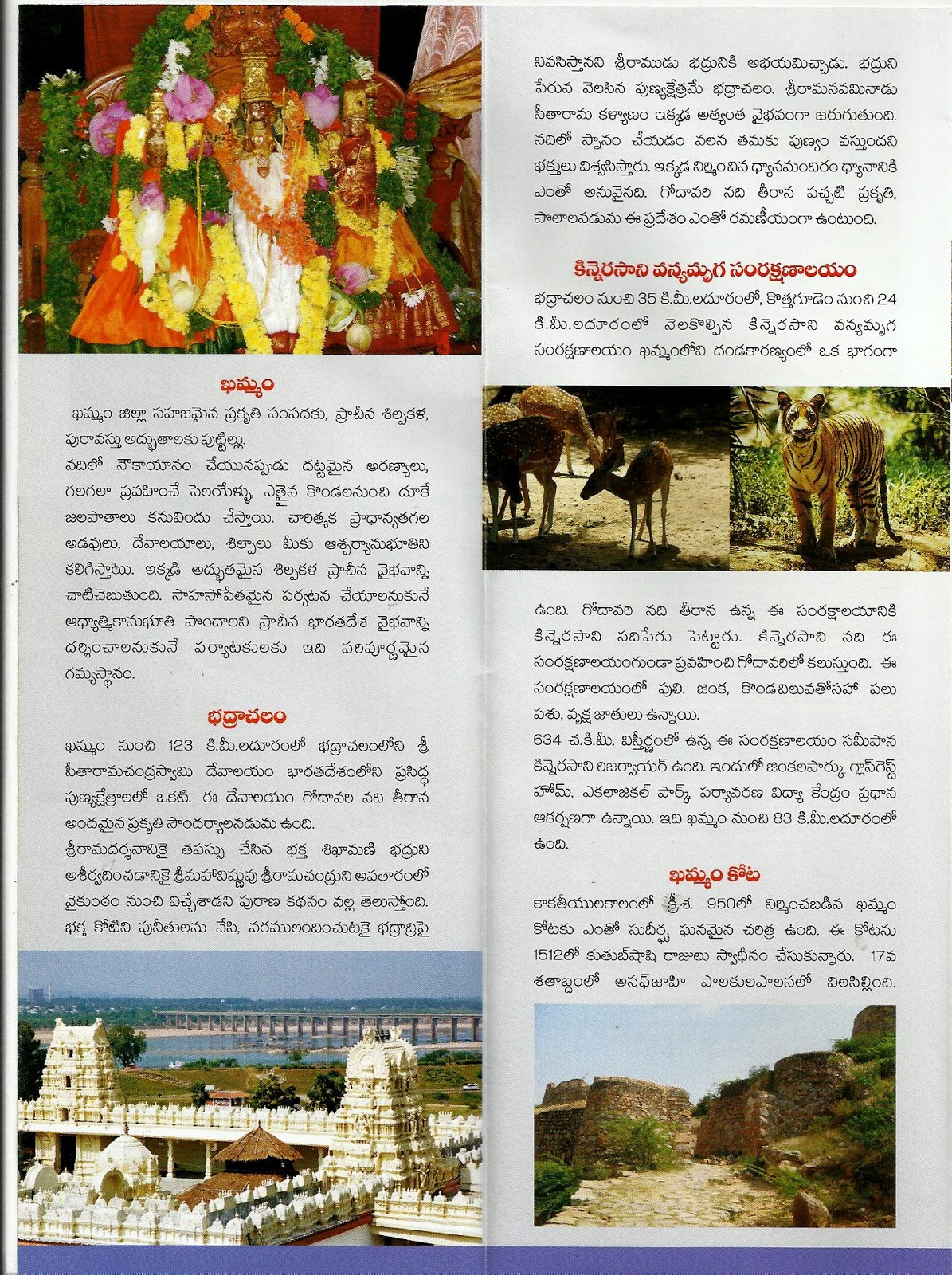 tourist meaning in telugu