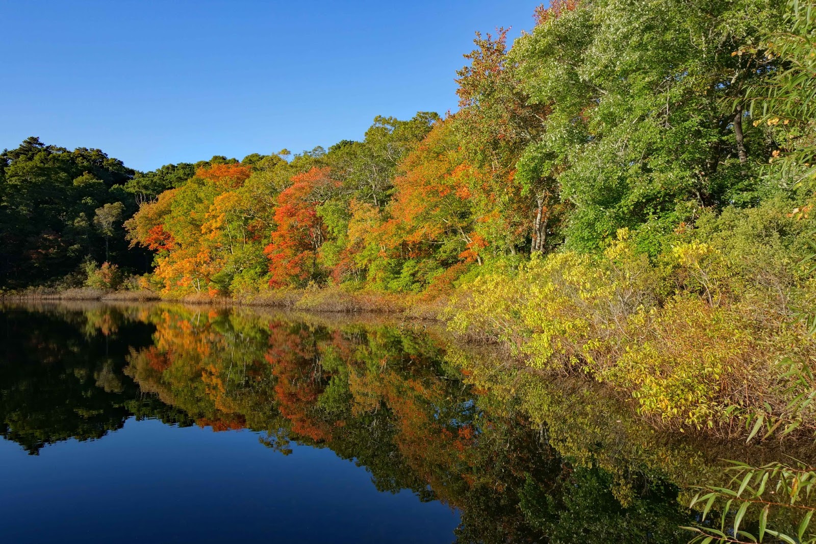 Joe's Retirement Blog A Touch of Fall at Rabbit Pond, Manomet
