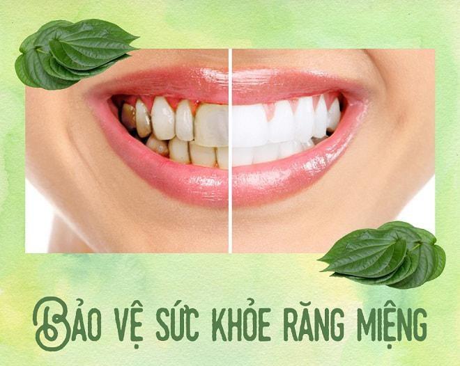 công dụng làm đẹp hiệu quả từ trầu cong-dung-lam-dep-hieu-qua-tu-trau
