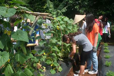 Berkebun wisata edukasi bogor