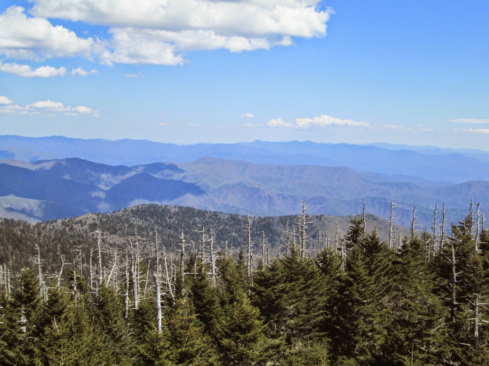 Into the Great Unknown Part I Smoky Mountain CrossroadsNewfound Gap