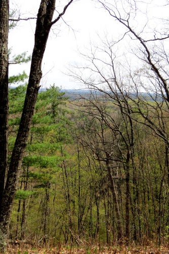 above Manistee River