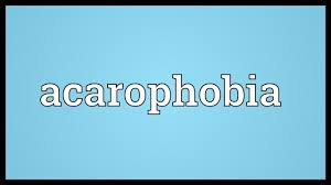  acarophobia