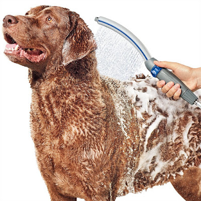 Must Have Dog Bathing Gadgets Waterpik Dog Shower