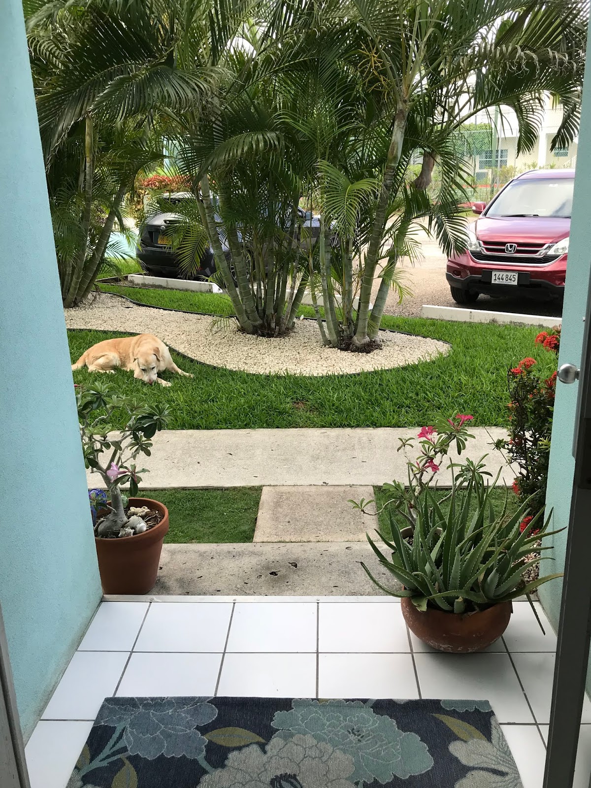 For Rent Sunrise Townhome Phase III Entry