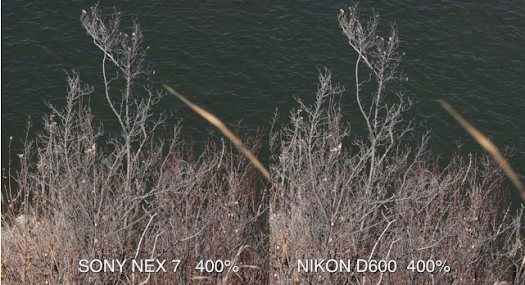 nikon d600 nex-7 metabone speed booster comparison