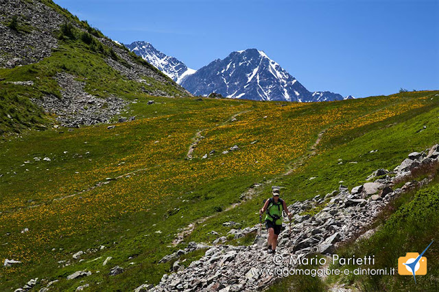 Dal passo verso il lago di Monscera Dal passo verso il lago di Monscera