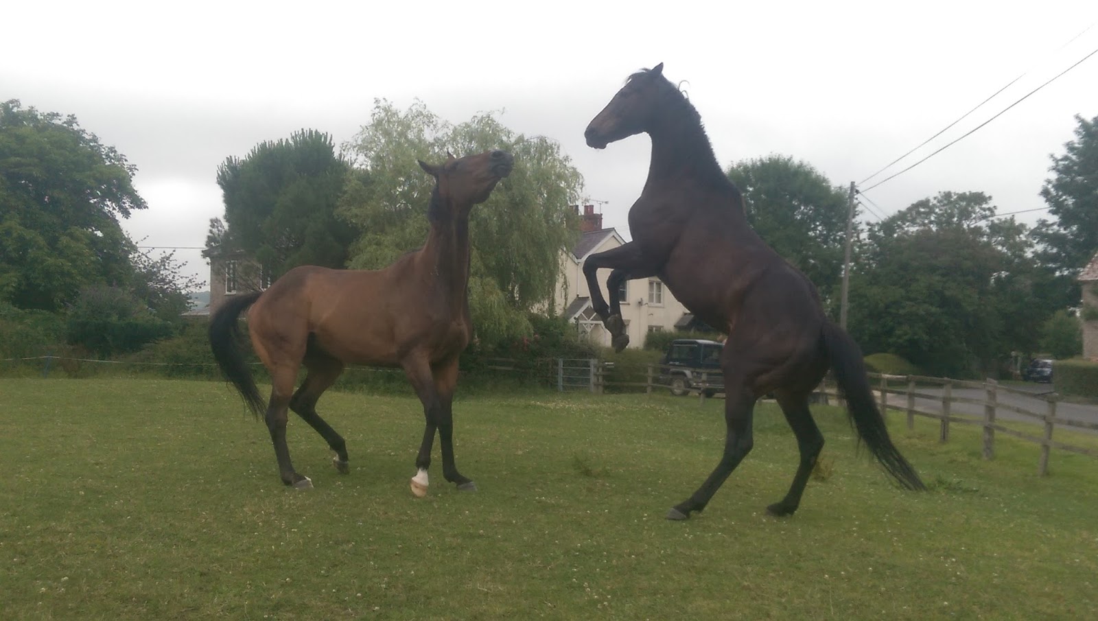 Simon Earle Racing August 2015