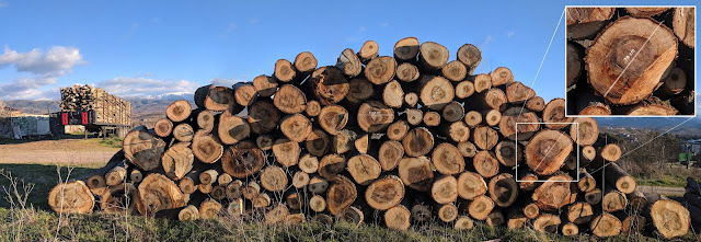 Educación Forestal: Madera apilada