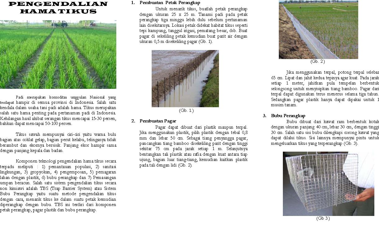 Pertanian Tanaman Pangan dan Peternakan Nunukan Aneka