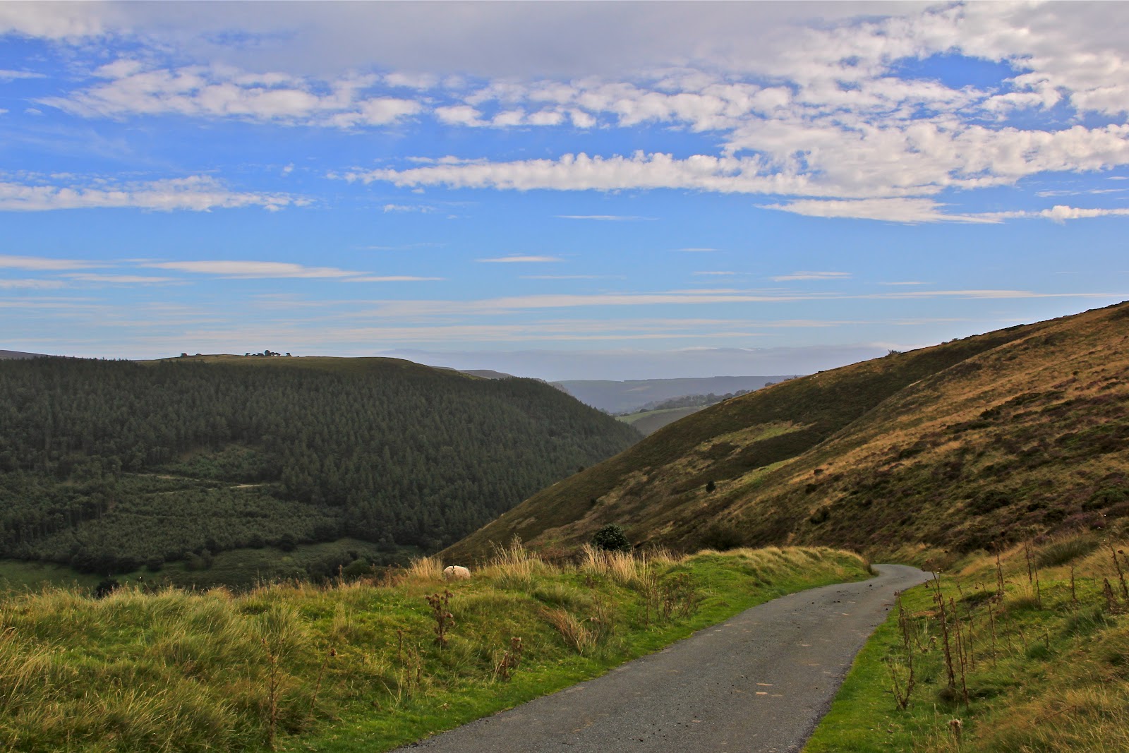 Travelling Diary Trekking to Horseshoe Pass and Falls, North Wales