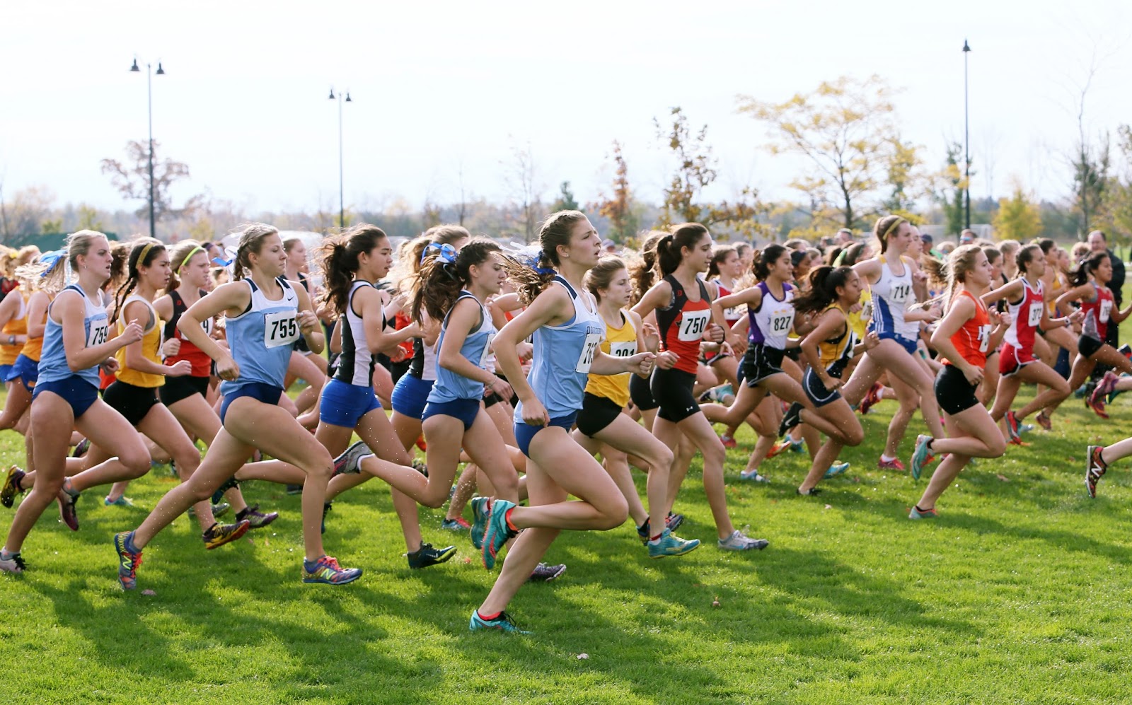 Mark Kodiak Ukena IHSA Girls Class 3A Waukegan Cross Country Sectional