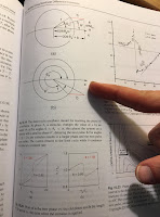 Page 283 or Intermediate Physics for Medicine and Biology, containing Figures 10.19 and 10.20.