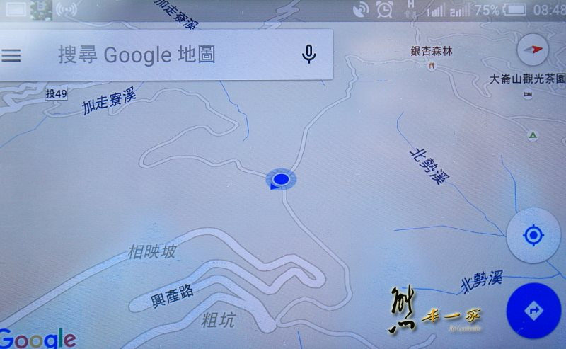 銀杏森林|武岫農圃|銀杏林觀景步道
