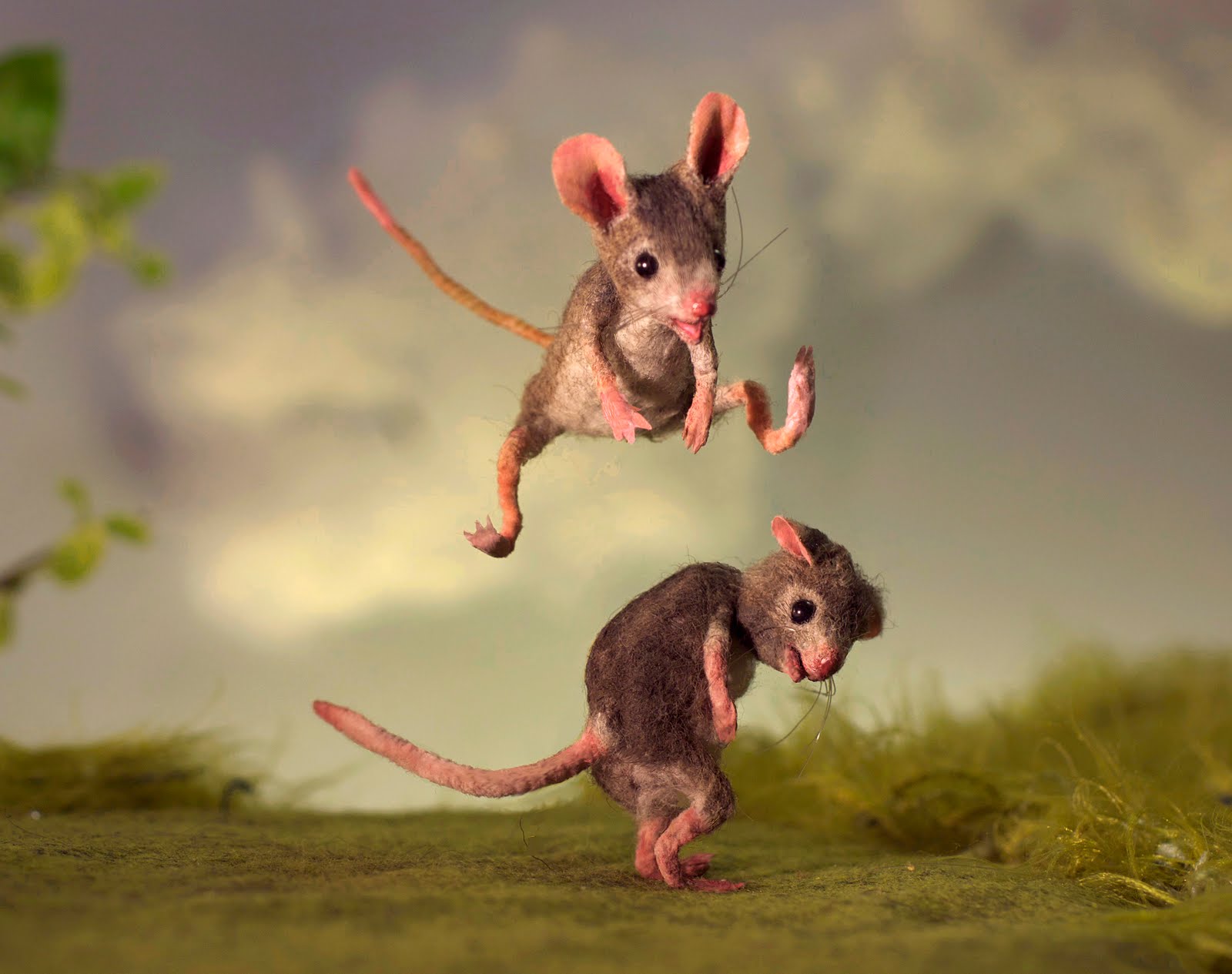 Наведи мышку. Мышь. Забавные мышата. Прикольные мышки. Смешная мышь.