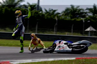 Gambar Lucu dikejar anjing galak Gambar Lucu dikejar anjing galak