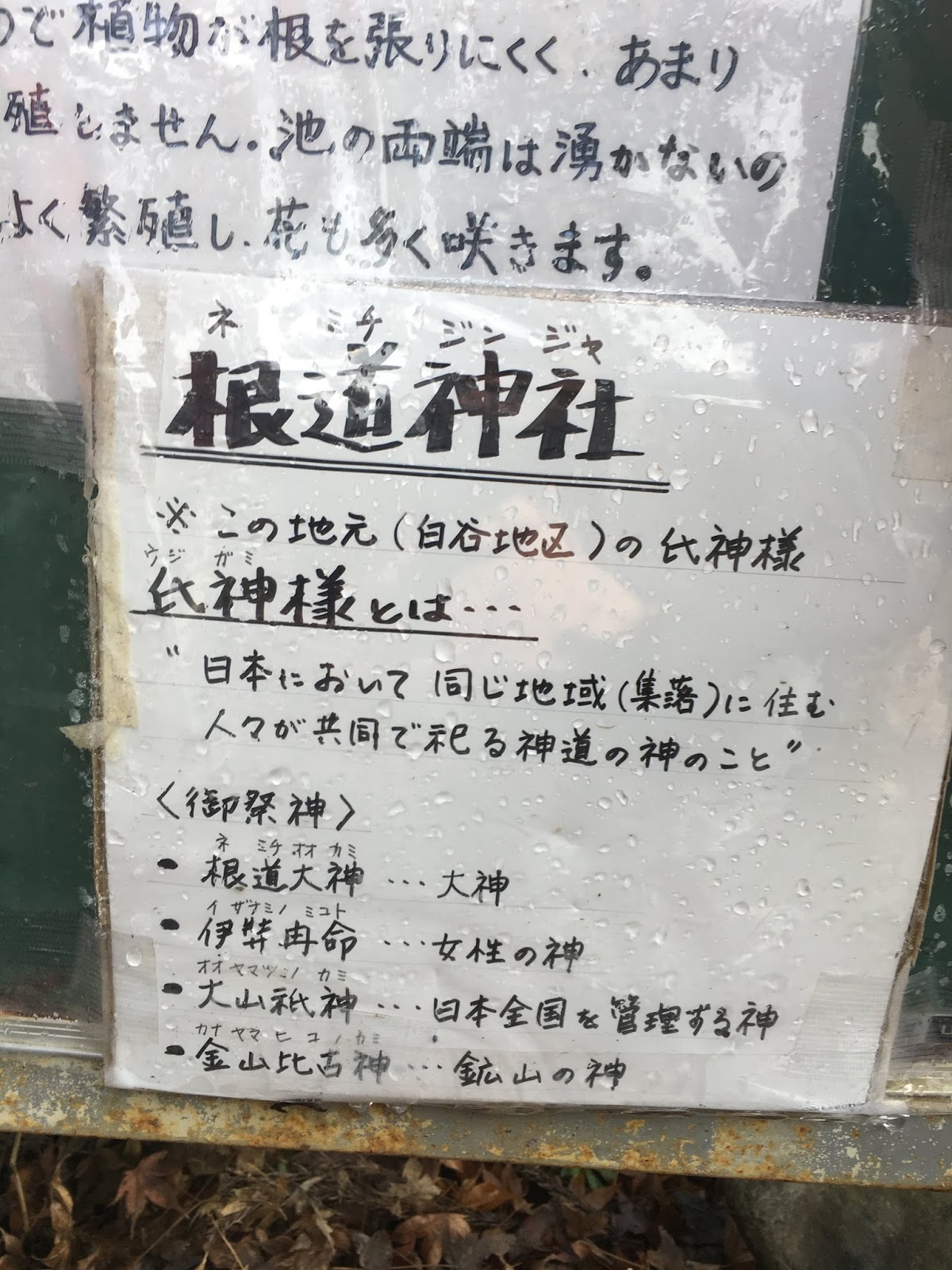 塊茎、根、球根