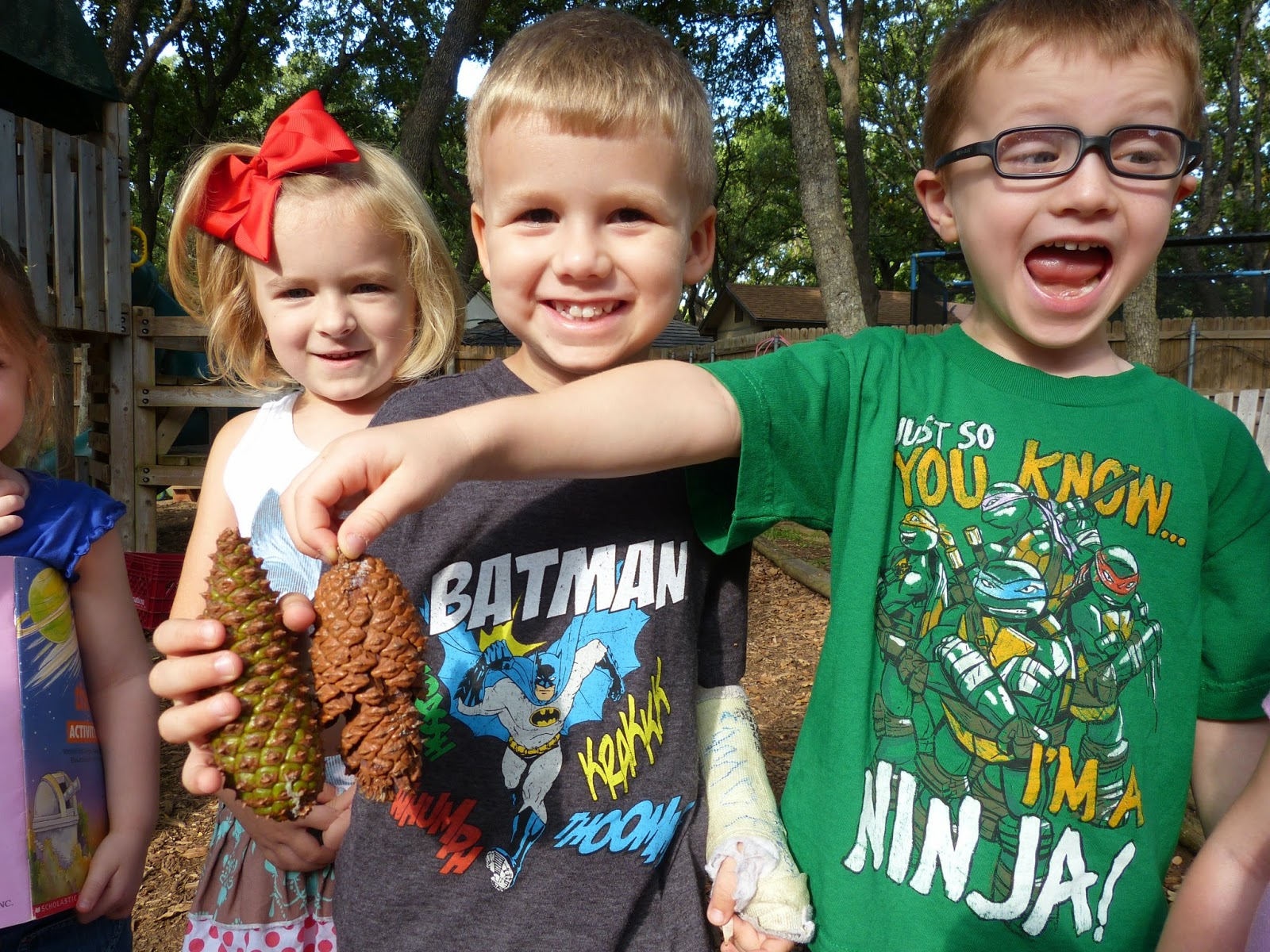 Paula's Primary Classroom: Pine cone science