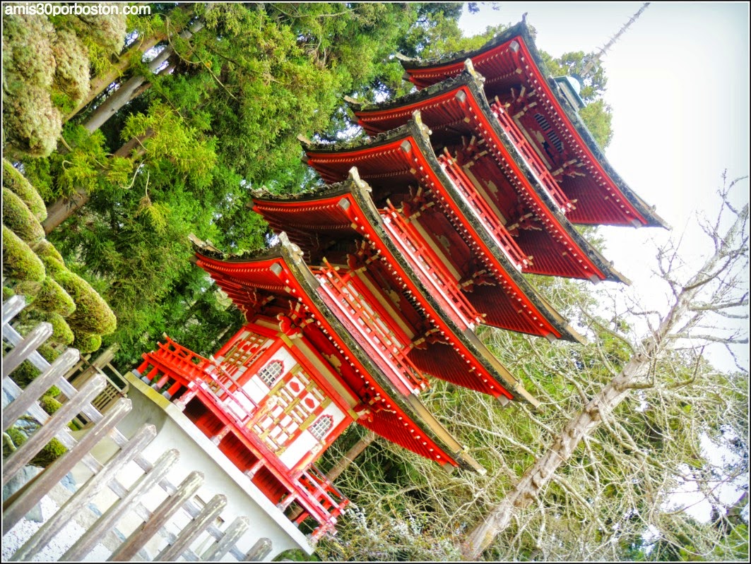 Pagoda Japanese Tea Garden: San Francisco Pagoda Japanese Tea Garden: San Francisco