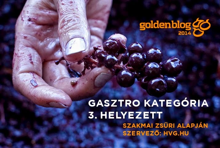WineArt Culture, a Goldenblog 3. helyezettje