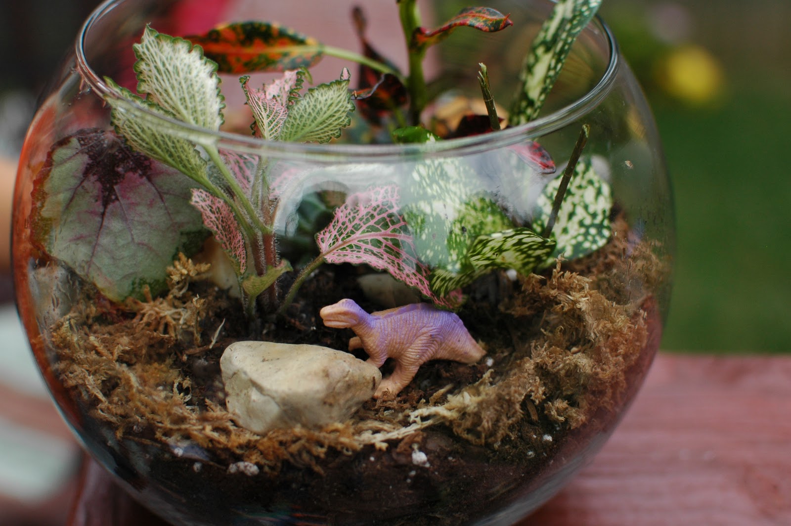 TurtleCraftyGirl Terrarium