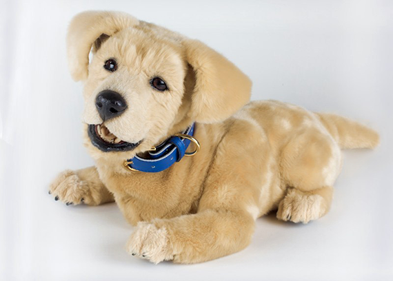 companion robot dog