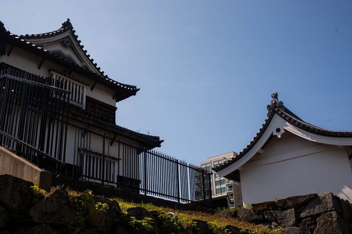 Fukuoka travel guide: castle ruins