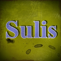 Free Download lagu Sulis - Dzikir Anak.mp3