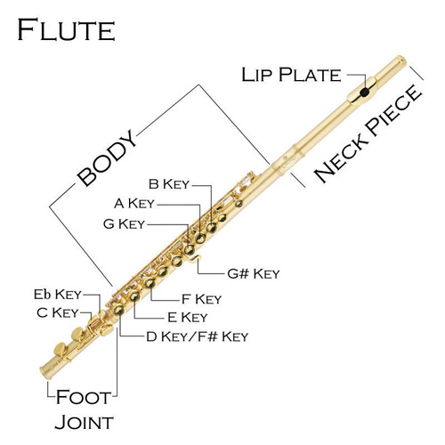 RAHMADANI FUNK SHARE Part 1 Teknik Permainan Flute Begginer