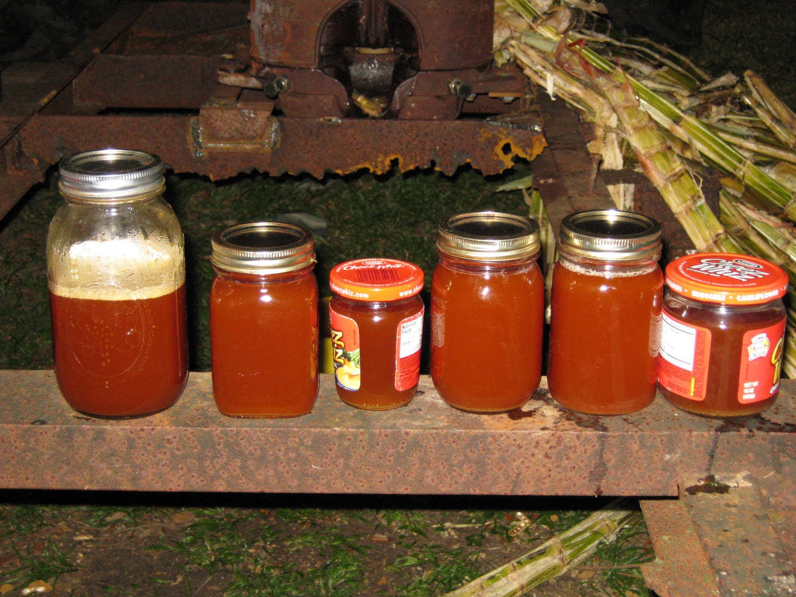 Pioneer Home Making sugar cane syrup, the oldfashioned way