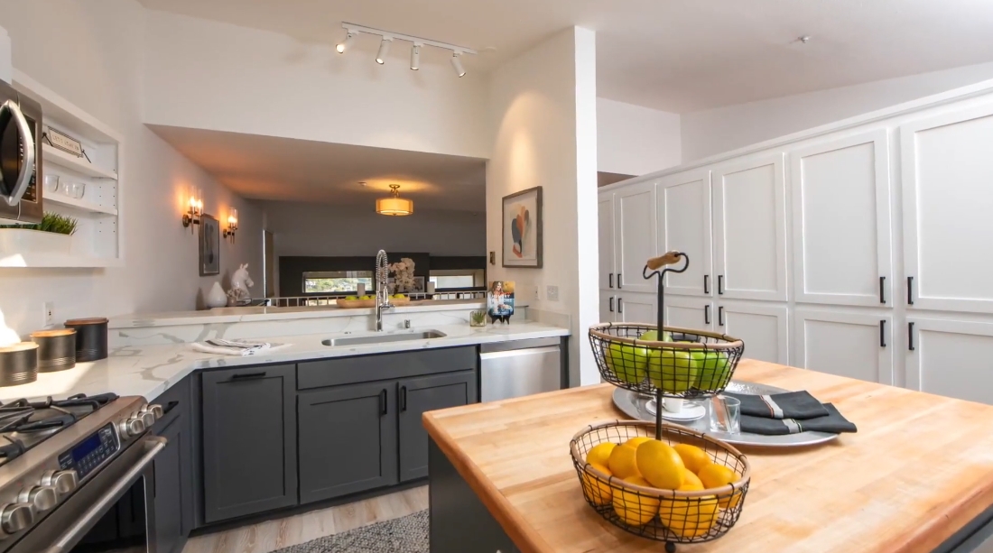 21 Photos vs. 124 Red Hill Cir, Belvedere Tiburon, CA Interior Design Luxury Home Tour