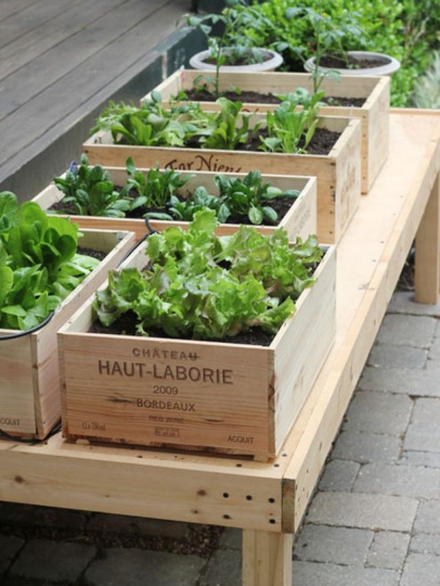 8 ideas del jardín 8 ideas del jardín