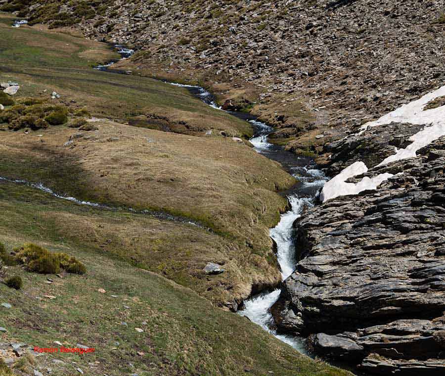 BICHOS Y MAS VLC TRAVESÍA LANTEIRABÉRCHULESLANTEIRA (VUELTA)