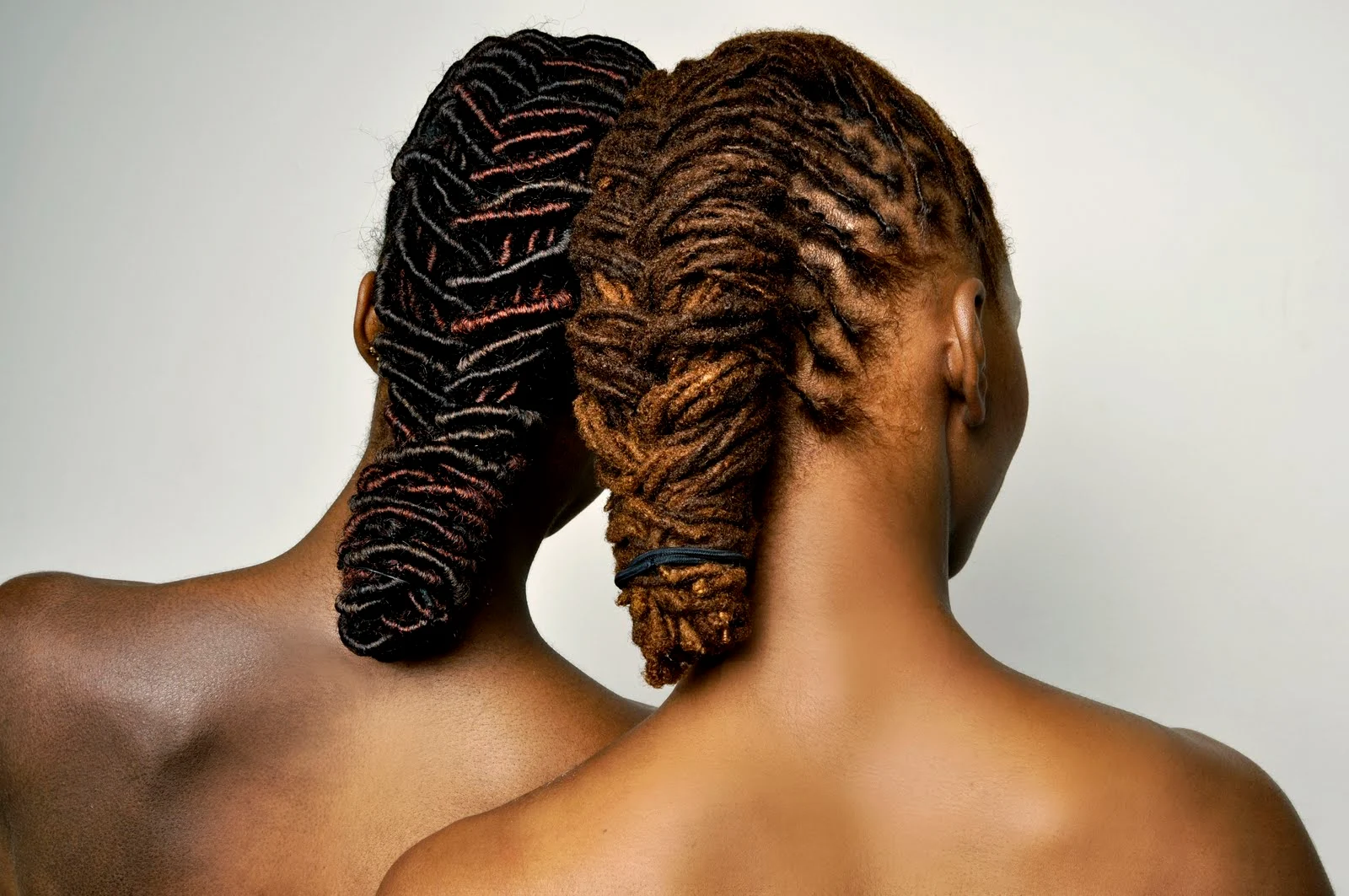 Gorgeous Loc Hairstyles For Women Abstract for Desktop