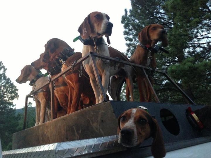 New Mexico Hunting Adventures