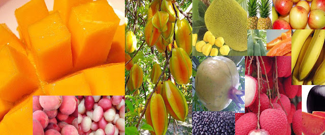 Jack Fruit, the national fruit of Bangladesh
