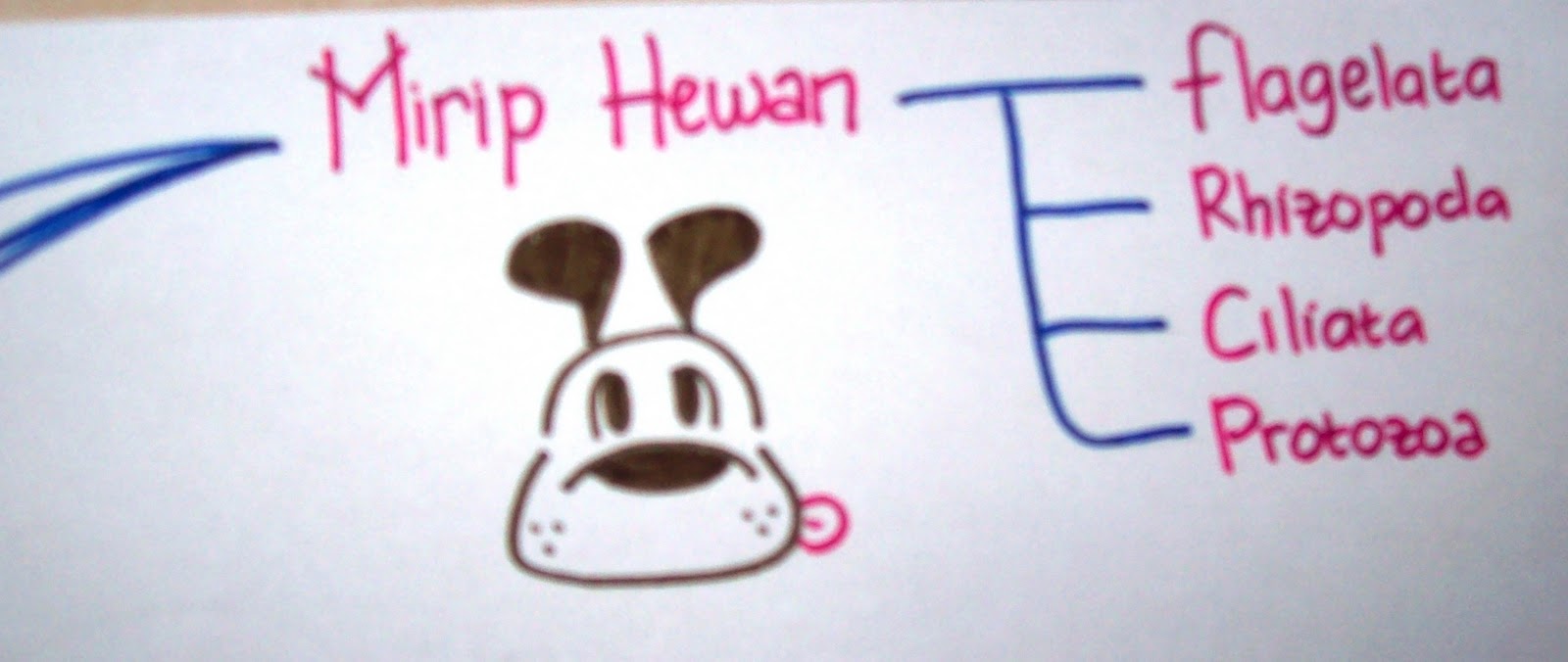 Don't call me Dewi !!: Mind Map "Protista"