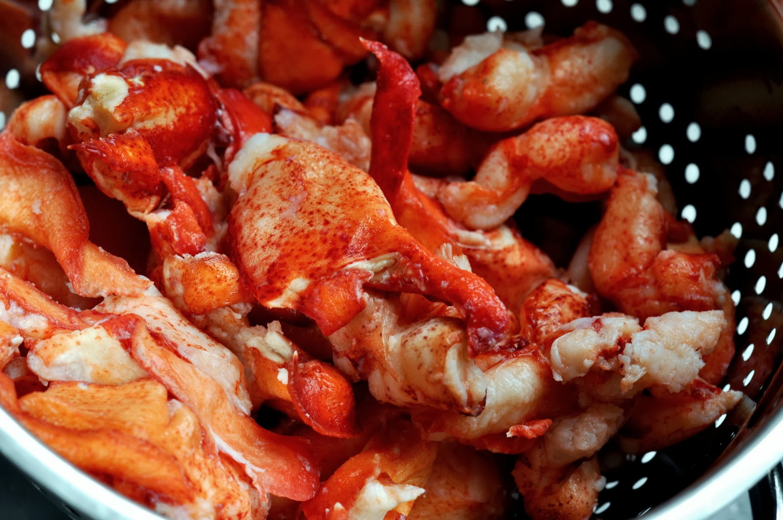 Premium Lobster Meat from Lobster Anywhere | Taste As You Go