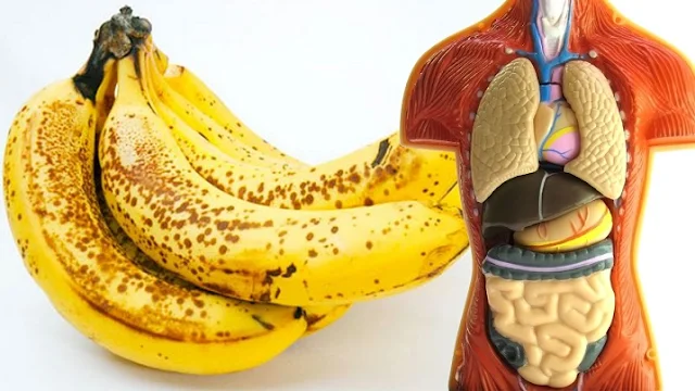 Eating 2 Bananas Per Day For A Month, This Is What Happens To Your Body