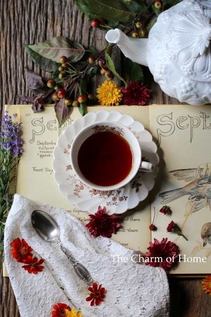 2016 Tea Review: The Charm of Home