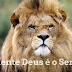 Deus é nosso Rei e mestre (Reflexões cristãs)