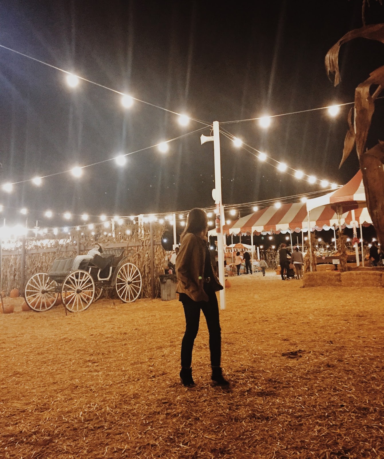 Pa's Pumpkin Patch StephC