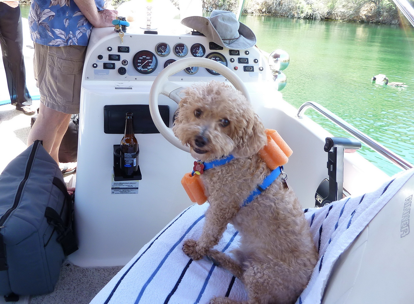 Journeys With Joey First Boat Ride May 22nd