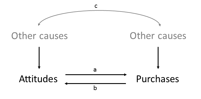 how to determine a causal relationship between two variables