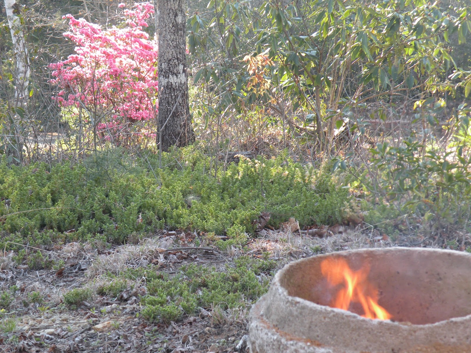 My HomeSong Fire Pits and Mud Pie Kitchens