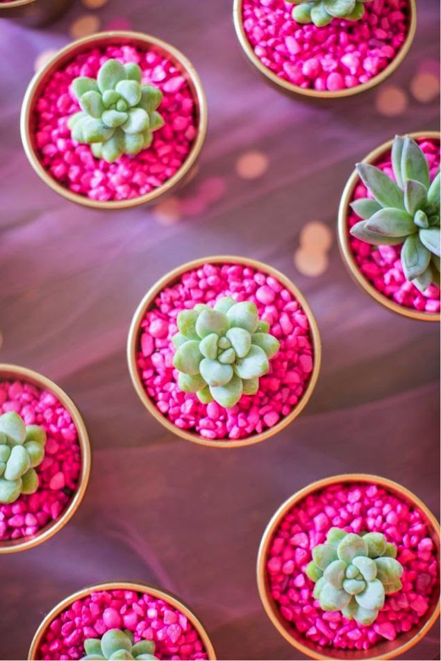 I Need New Things: Cool Ideas For Gardens!