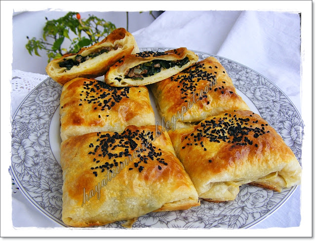 HAYATCEMRESİ ISPANAKLI KIYMALI KARE BÖREK