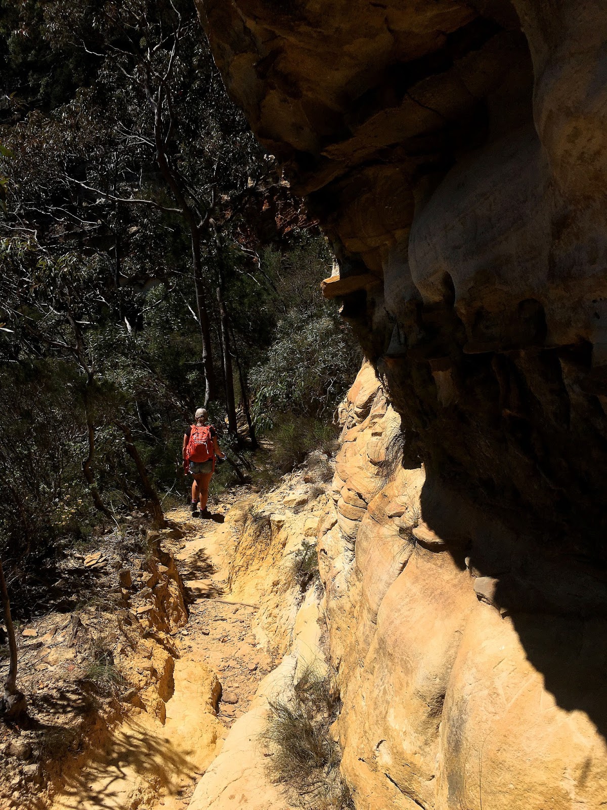 The National Pass track in the World Heritage listed Blue Mountains has been one of the most beautiful hiking trails I have seen. With the highest outdoor staircase and breathtaking views it's not to be missed!
