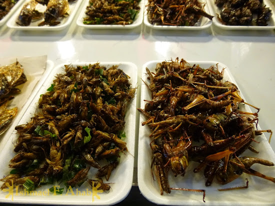 North Thailand - Yummy Bugs in Chiang Rai
