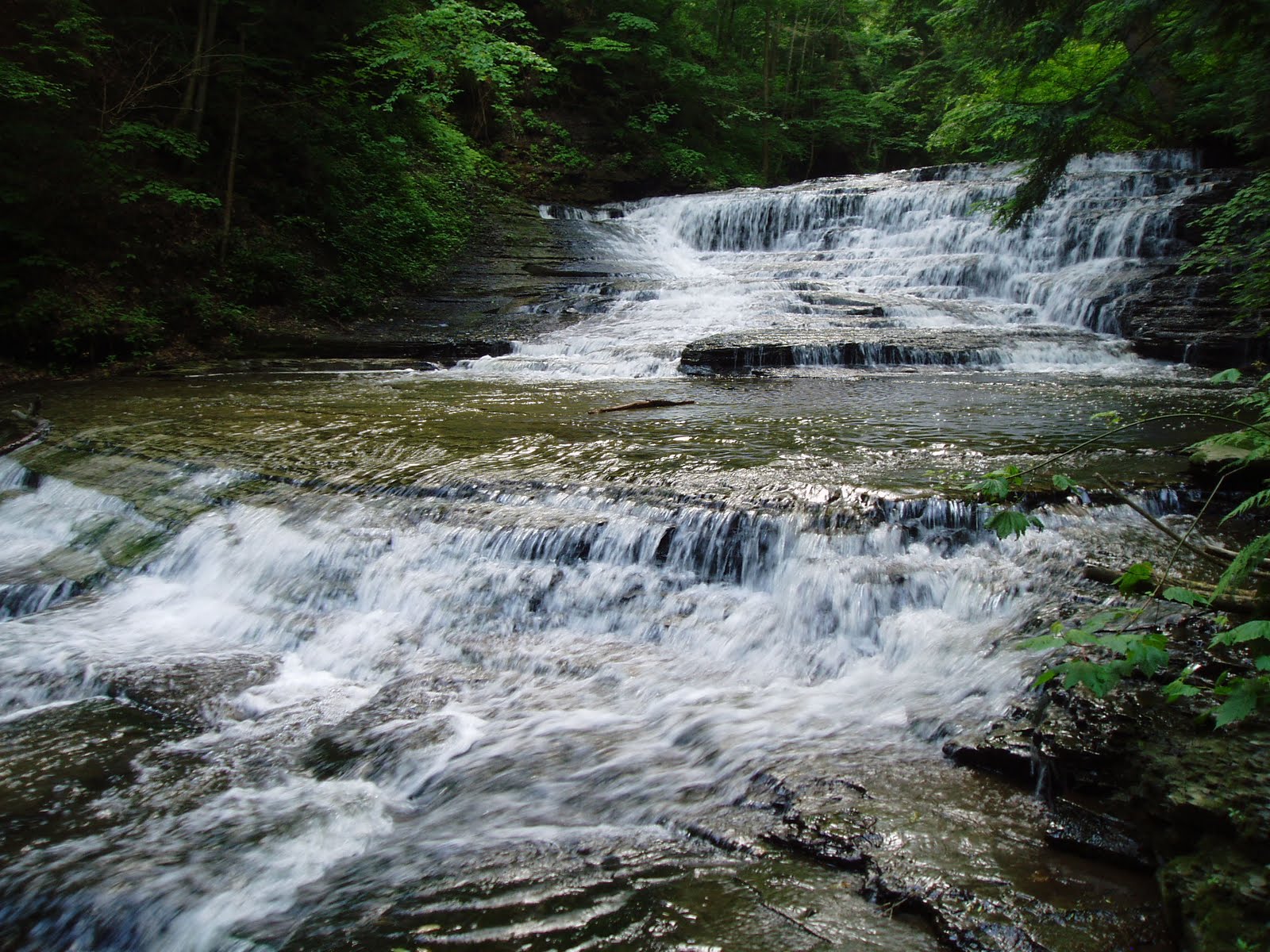 . Angel Falls Beaver Meadow Creek Java, Wyoming County